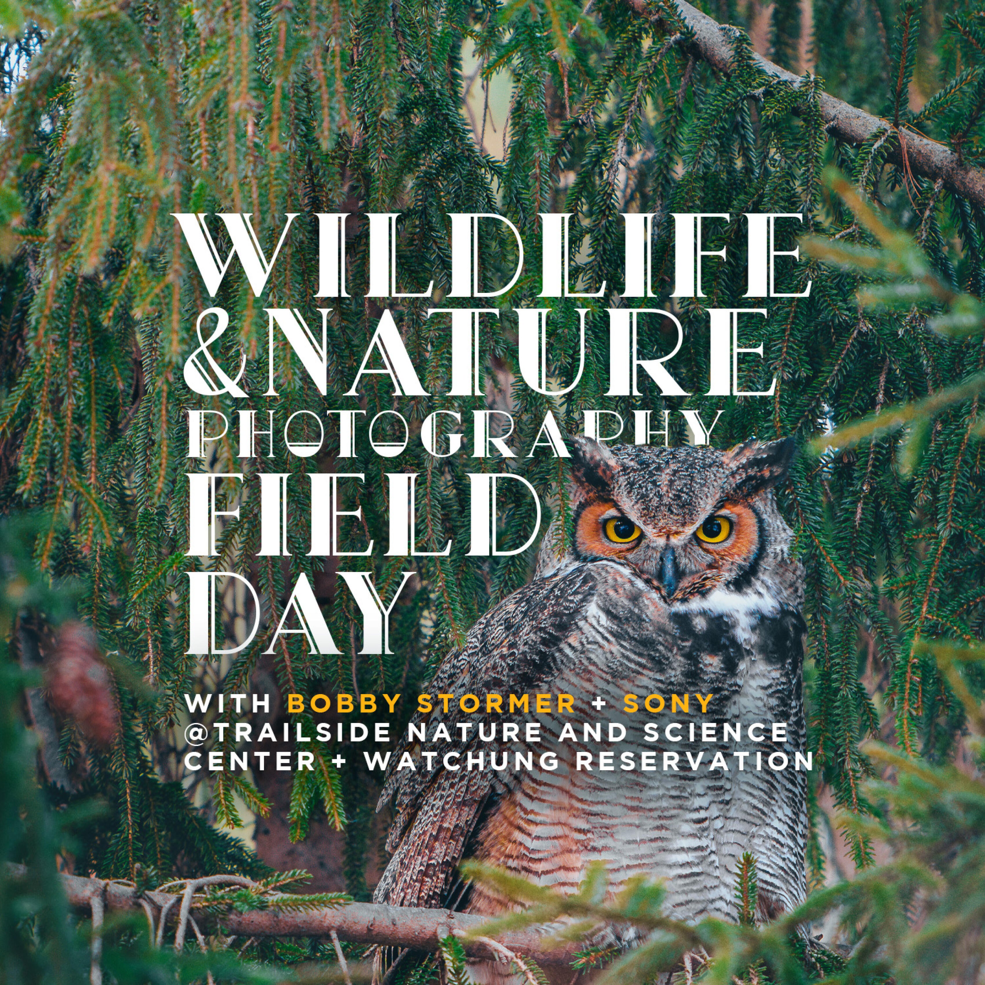 thumbnail image for the event