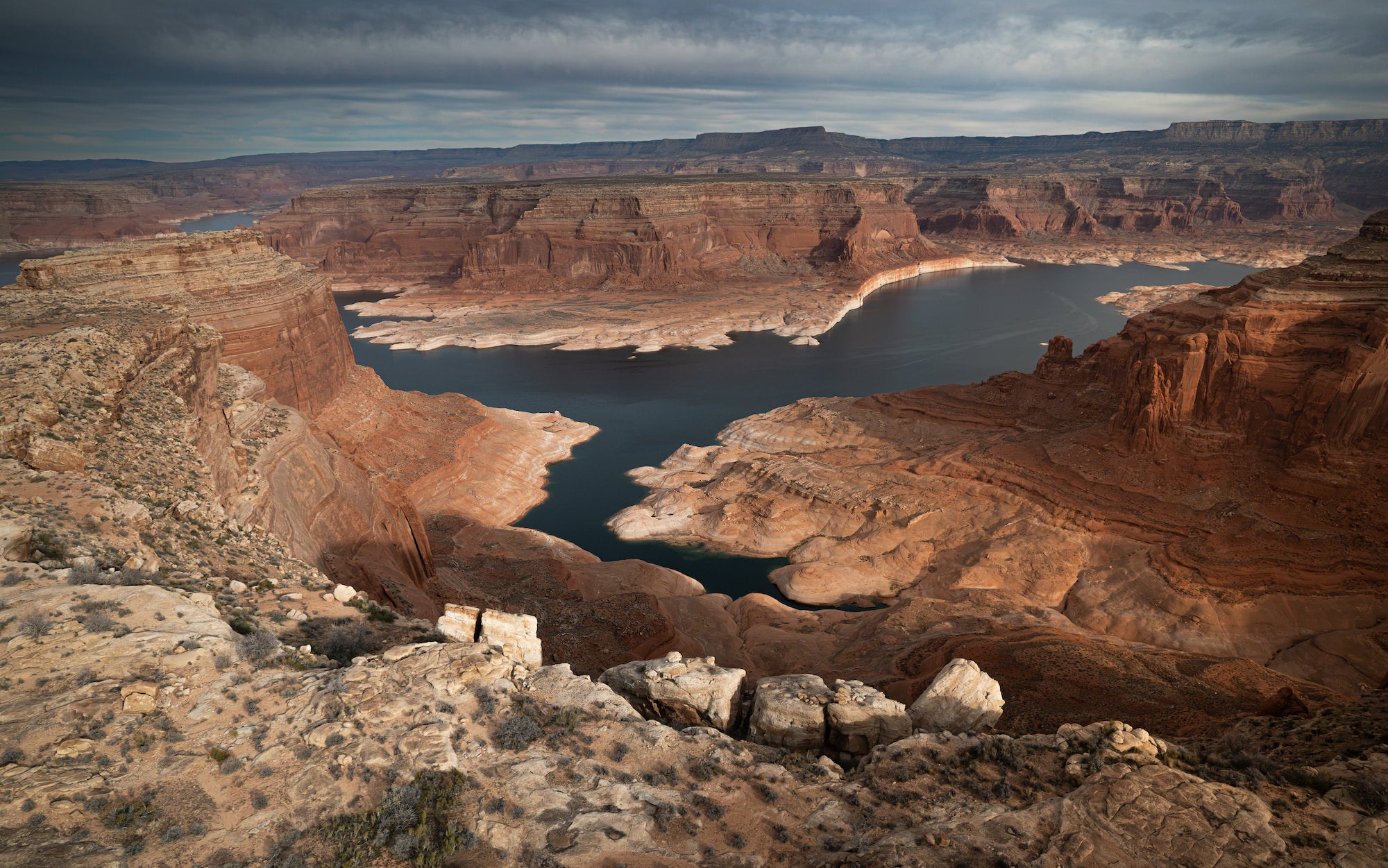 Wide view of Lake Powell&rsquo;s dark blue water surrounded by exposed red-rock canyon walls and pale shoreline bands. Photograph by Sydney Smolla.