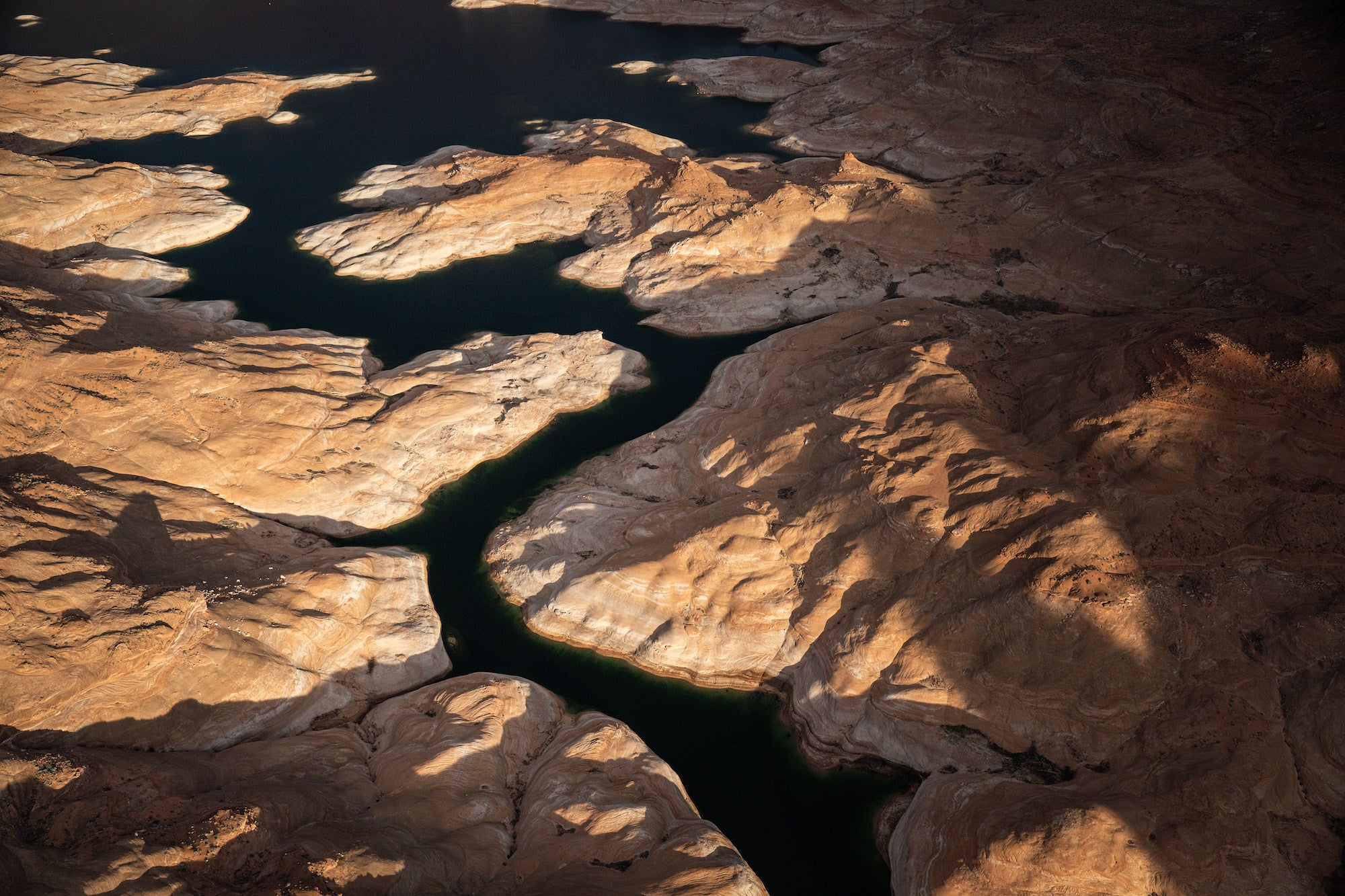 Aerial view of dark Lake Powell water weaving between sunlit sandstone islands and shadowed canyon terrain. Photograph by Sydney Smolla.
