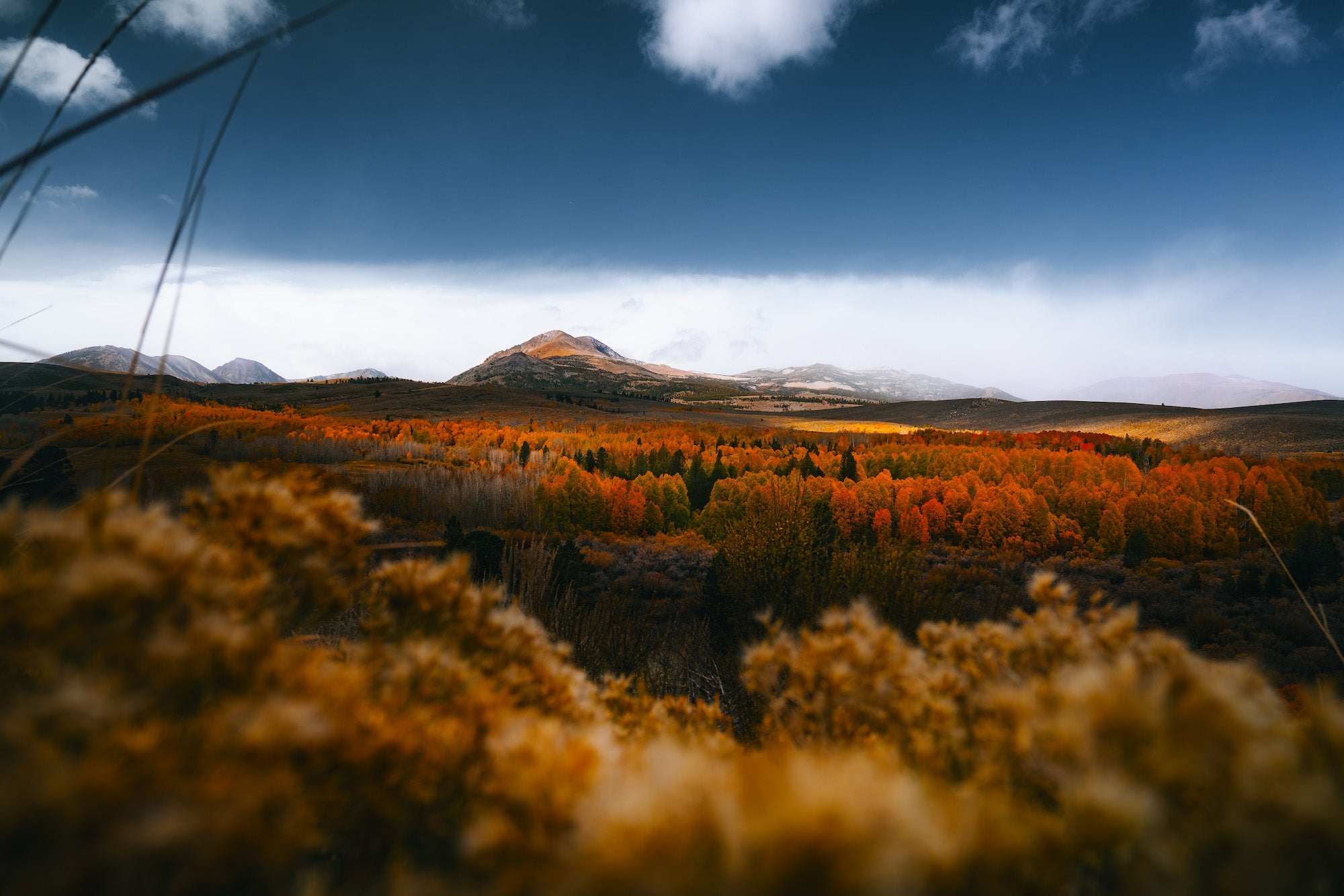 Wide autumn valley of orange trees beneath distant mountains and dramatic sky.