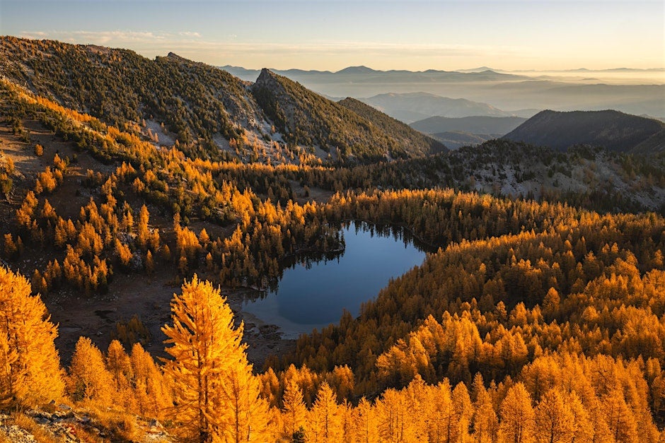 thumbnail image for the event