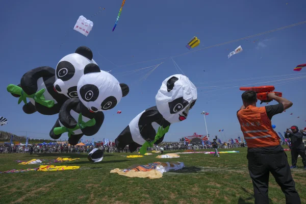 Tatan-Syuflana-Kit-Festival-Pandas.webp