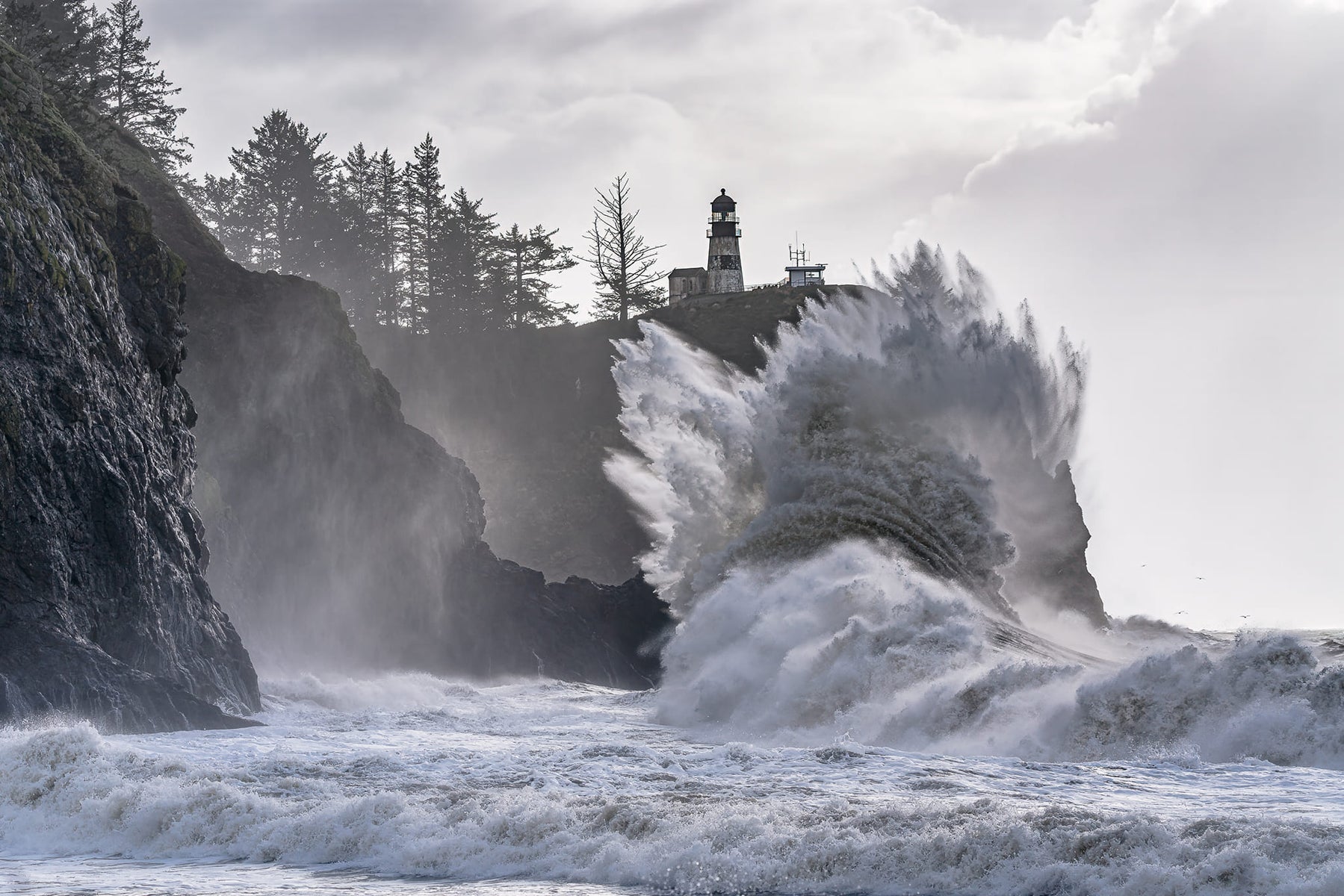 https://alphauniverseglobal.media.zestyio.com/Week-17-Dramatic-Weather-Annette-Jones.jpg?height=1200&fit=bounds