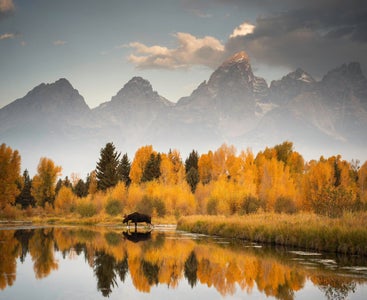 Week 2-Reflections-Sydney Norris Smolla