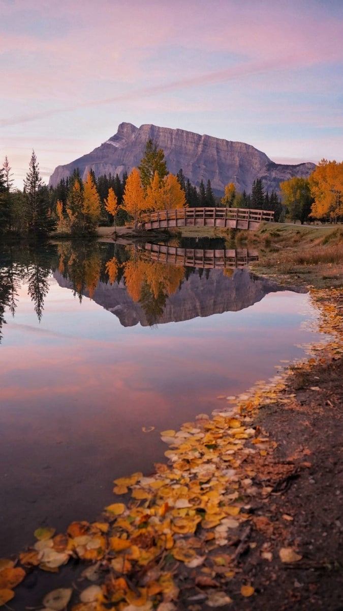 https://alphauniverseglobal.media.zestyio.com/Week-27-Fall-Vibes-Kim-Tannas.SkkbWKN6Je.jpg?height=1200&fit=bounds