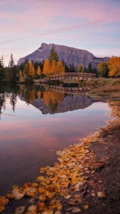 https://alphauniverseglobal.media.zestyio.com/Week-27-Fall-Vibes-Kim-Tannas.SkkbWKN6Je.jpg?height=300&fit=bounds
