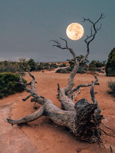 https://alphauniverseglobal.media.zestyio.com/Week-29-Lunar-Landscapes-Susan-Brudd.r1glbbKVp1l.jpg?height=300&fit=bounds