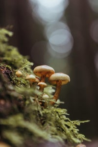 The “Little Things” theme micro-grant winner is  Madison Margaret Reardan. 