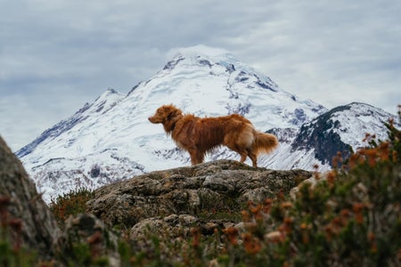 https://alphauniverseglobal.media.zestyio.com/Week-30-Your-Favorite-Place-Taryn-Douville.BkeJZWYVayg.jpg?height=300&fit=bounds