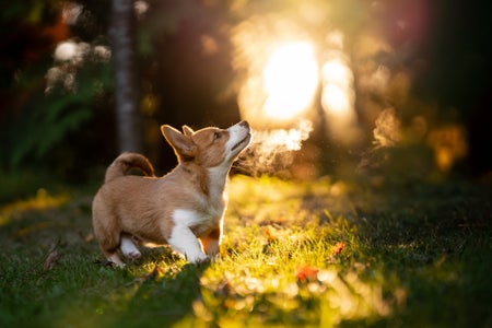 The “In The Moment” theme micro-grant winner is  Taryn Douville. 