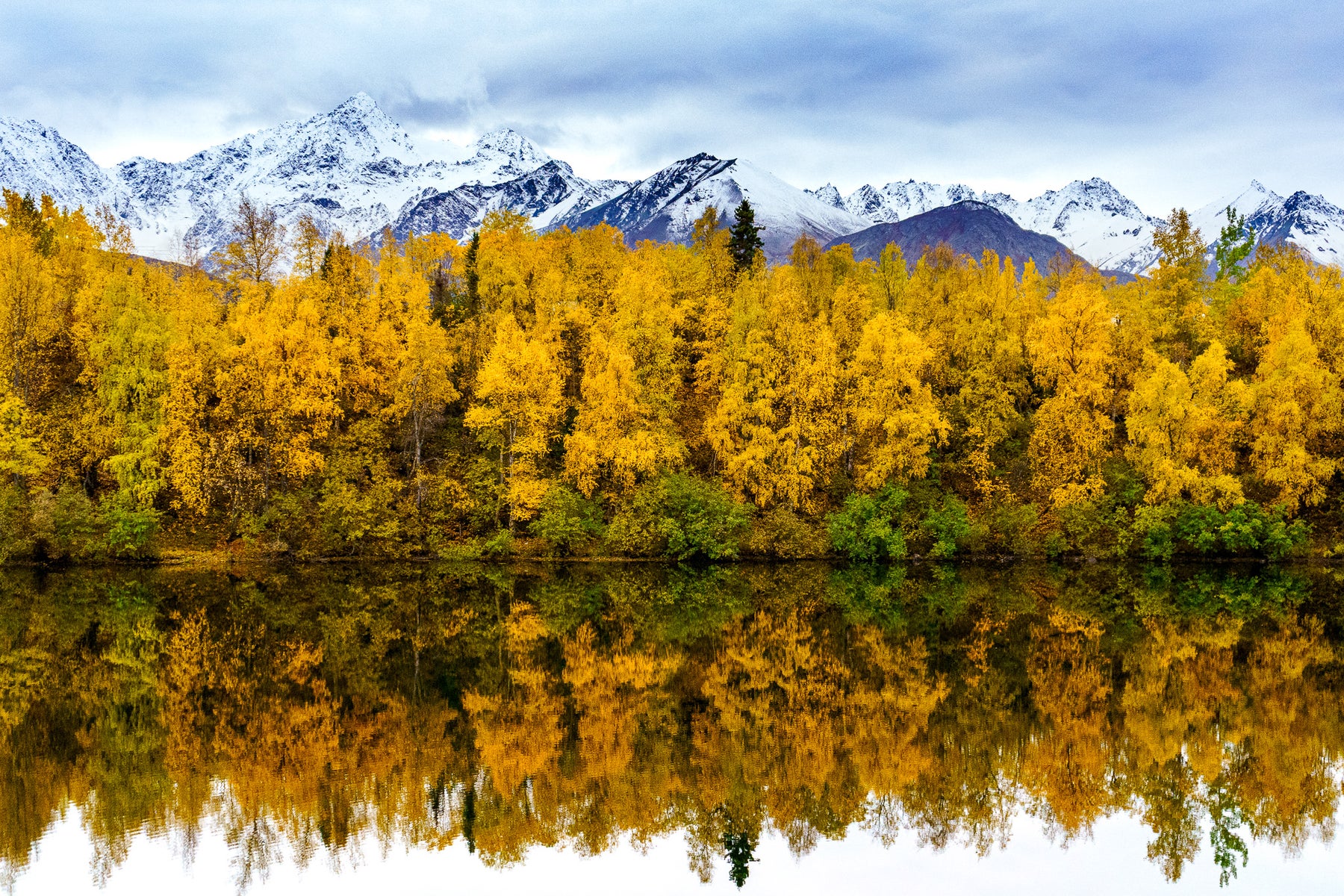https://alphauniverseglobal.media.zestyio.com/Week-33-Autumn-Colors-Jaime-Hammond.SJ5Z-K46Jg.jpg?height=1200&fit=bounds
