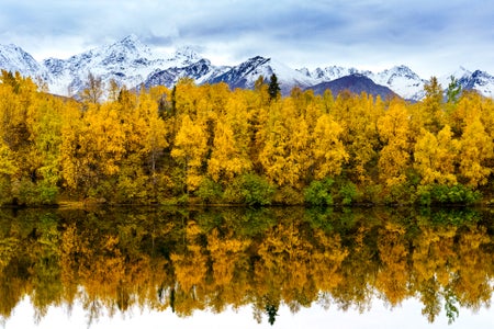 https://alphauniverseglobal.media.zestyio.com/Week-33-Autumn-Colors-Jaime-Hammond.SJ5Z-K46Jg.jpg?height=300&fit=bounds