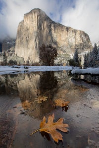 https://alphauniverseglobal.media.zestyio.com/Week-34-Favorite-Place-Michelle-Jacquement.jpeg?height=300&fit=bounds