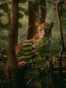 One of the “Where the Wild Things Are” theme micro-grant winners is Erin Sobon. 