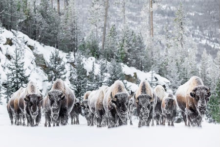 The Winter Wonderland theme micro-grant winner is Annalise Kaylor.