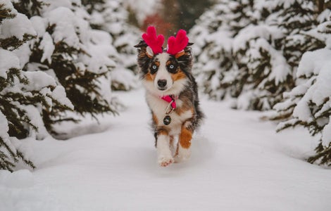 https://alphauniverseglobal.media.zestyio.com/Week-39-Festive-Feeling-Rebecca-Houle.rkeWWFNa1x.jpg?height=300&fit=bounds
