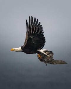 Jessica Lynn is the Most Memorable Moment of 2025 theme micro-grant winner.