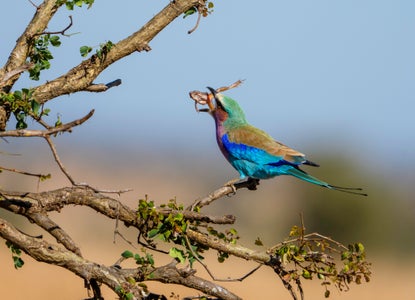 Heather Wied is the Embracing Nature theme micro-grant winner.