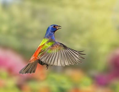 Jamie Felton is our Home theme micro-grant winner.