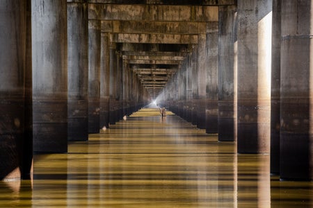 Laura Barrera Valdes is our Happy Accident theme micro-grant winner.