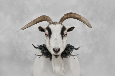 Yunet Solorzano is one of our Furry Friends theme micro-grant winners.