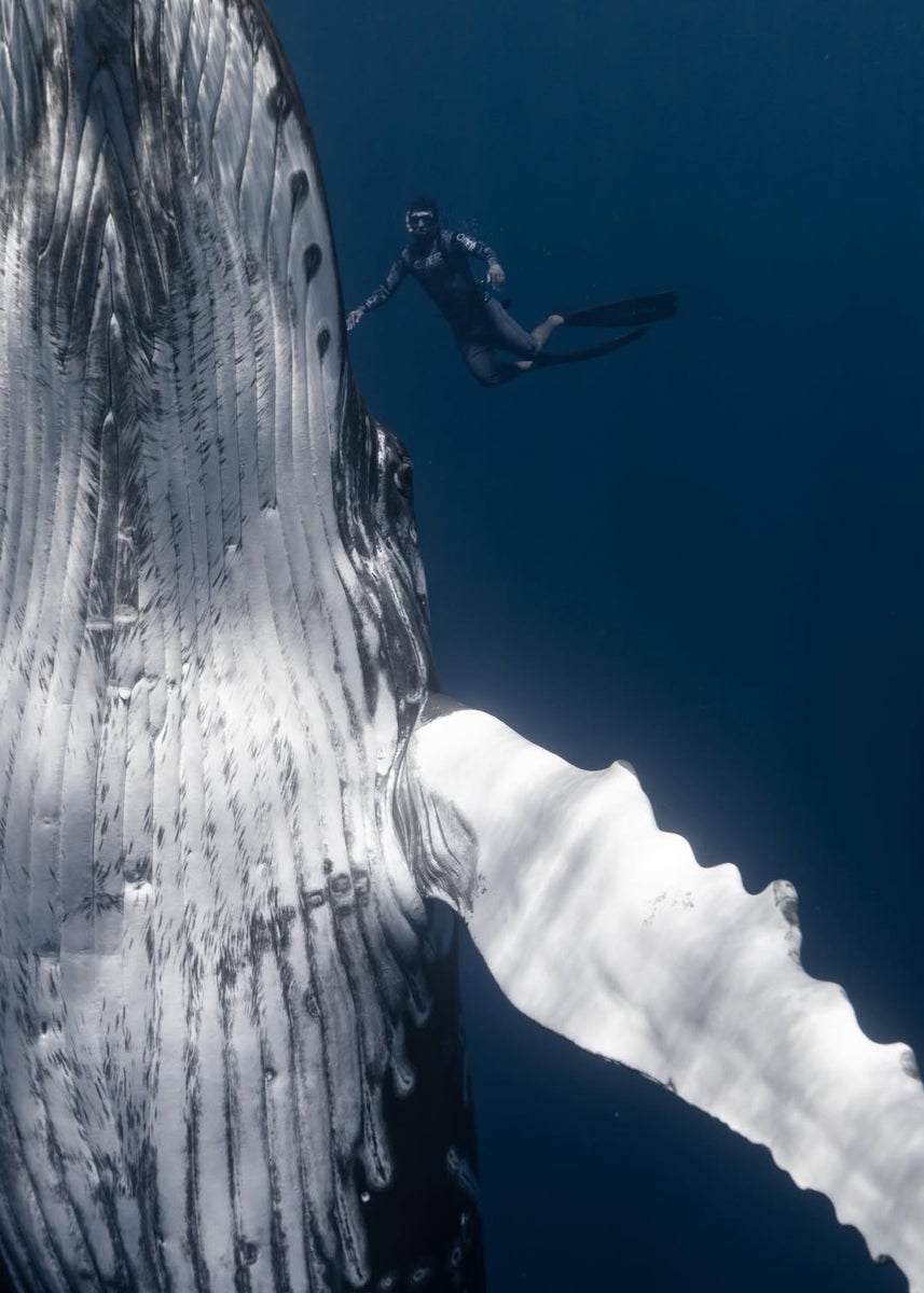 https://alphauniverseglobal.media.zestyio.com/Week-6-Unexpected-Moments-Maggie-Duggan.jpg?height=1200&fit=bounds