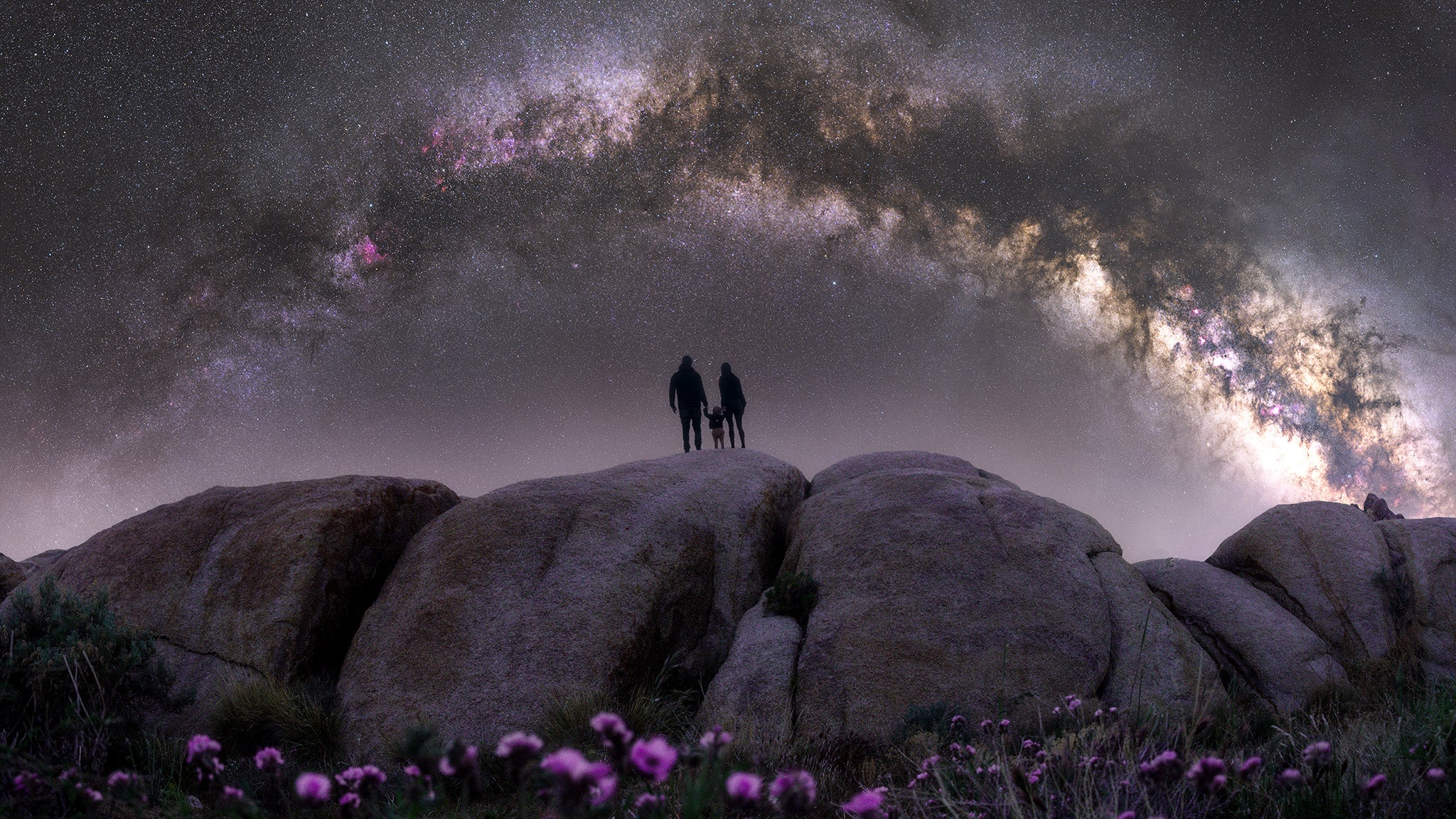 https://alphauniverseglobal.media.zestyio.com/Week-7-Astroscape-Amanda-Gilbert.jpg?height=1200&fit=bounds