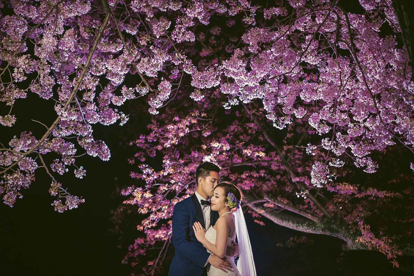 Zabrina Deng 2018-12