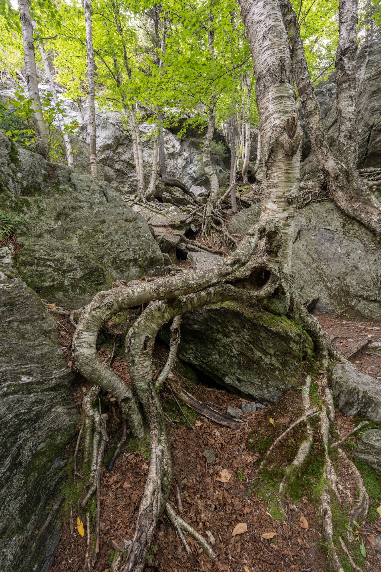 a7RVI-14GM-26_0828_034.jpg a7RVI-14GM-26_0828_034.jpg