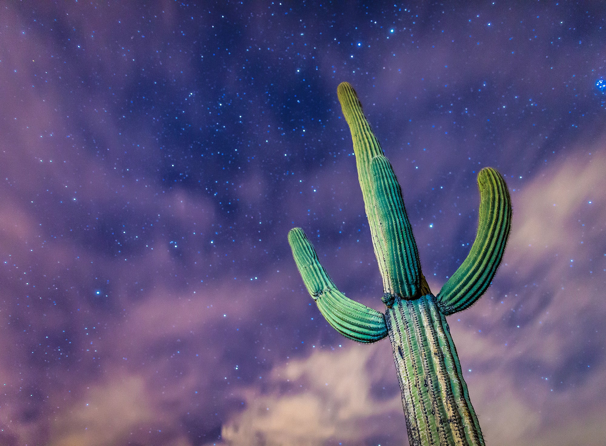 Photo by Drew Geraci.