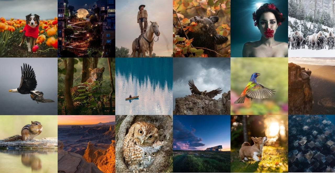 montage of microgrant winner images