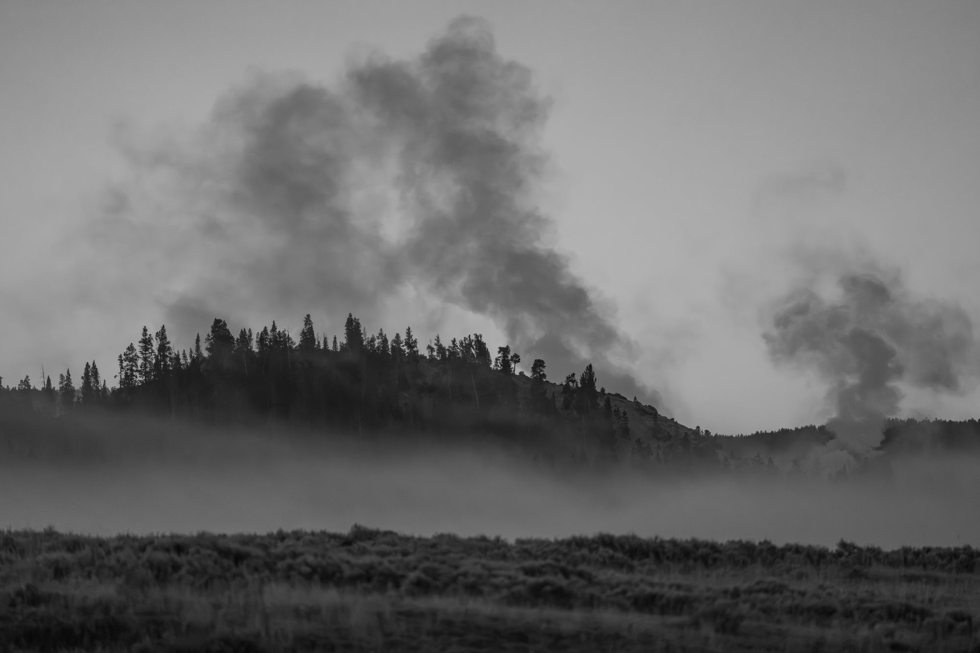 Dark storm clouds gather above a tree-lined ridge, while low fog drifts across a wide field and softens the distant forest. Photo by Dani Hamm. Alpha 7R V. 400mm f/4.5 G Master OSS. 1/2000-sec. f/4.5. ISO 3200.