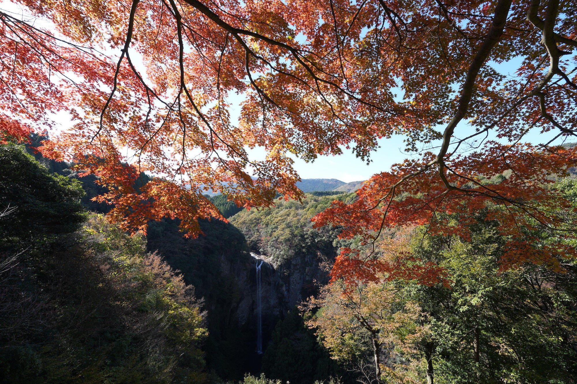 Red and orange maple leaves frame a distant waterfall and forested valley beneath a clear blue sky. Red and orange maple leaves frame a distant waterfall and forested valley beneath a clear blue sky.