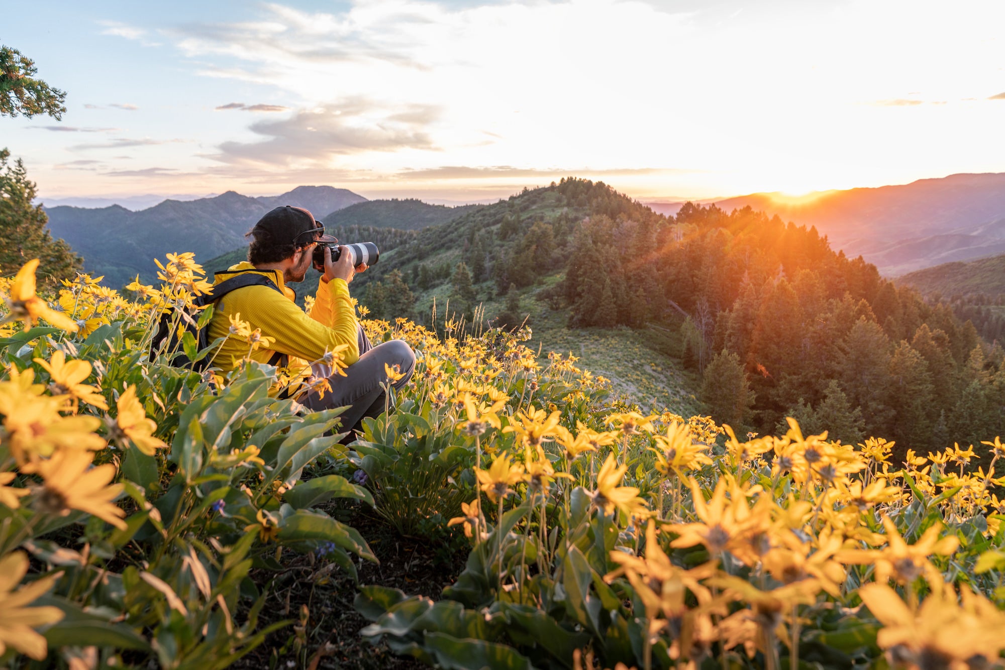 その他 TK The Landscape Enhanced Edition The Best Lenses For Landscape Photography In 2026 | Sony | Alpha
