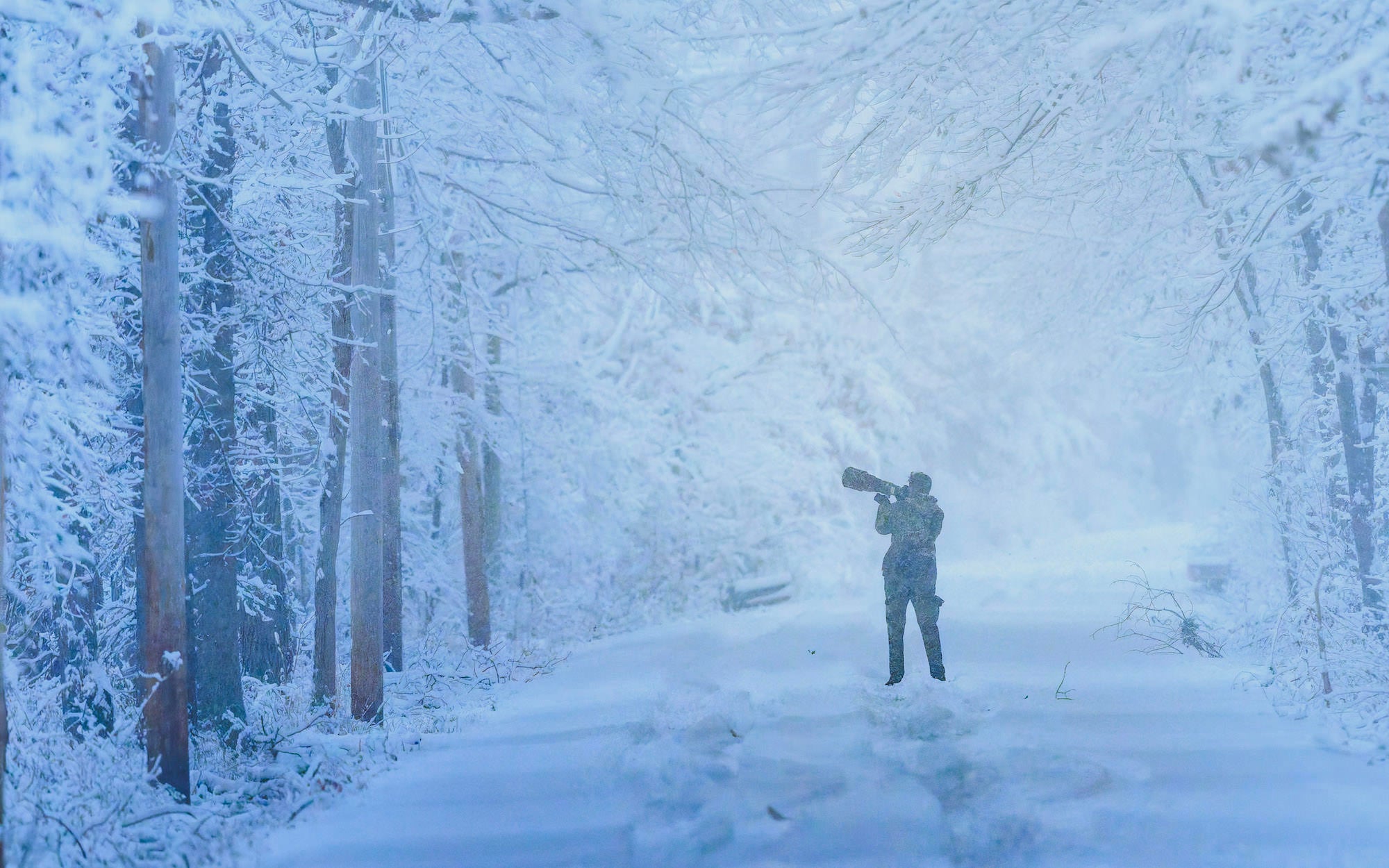 Winter snow scene with photographer standing in the middle pointing his camera and lens at the trees
