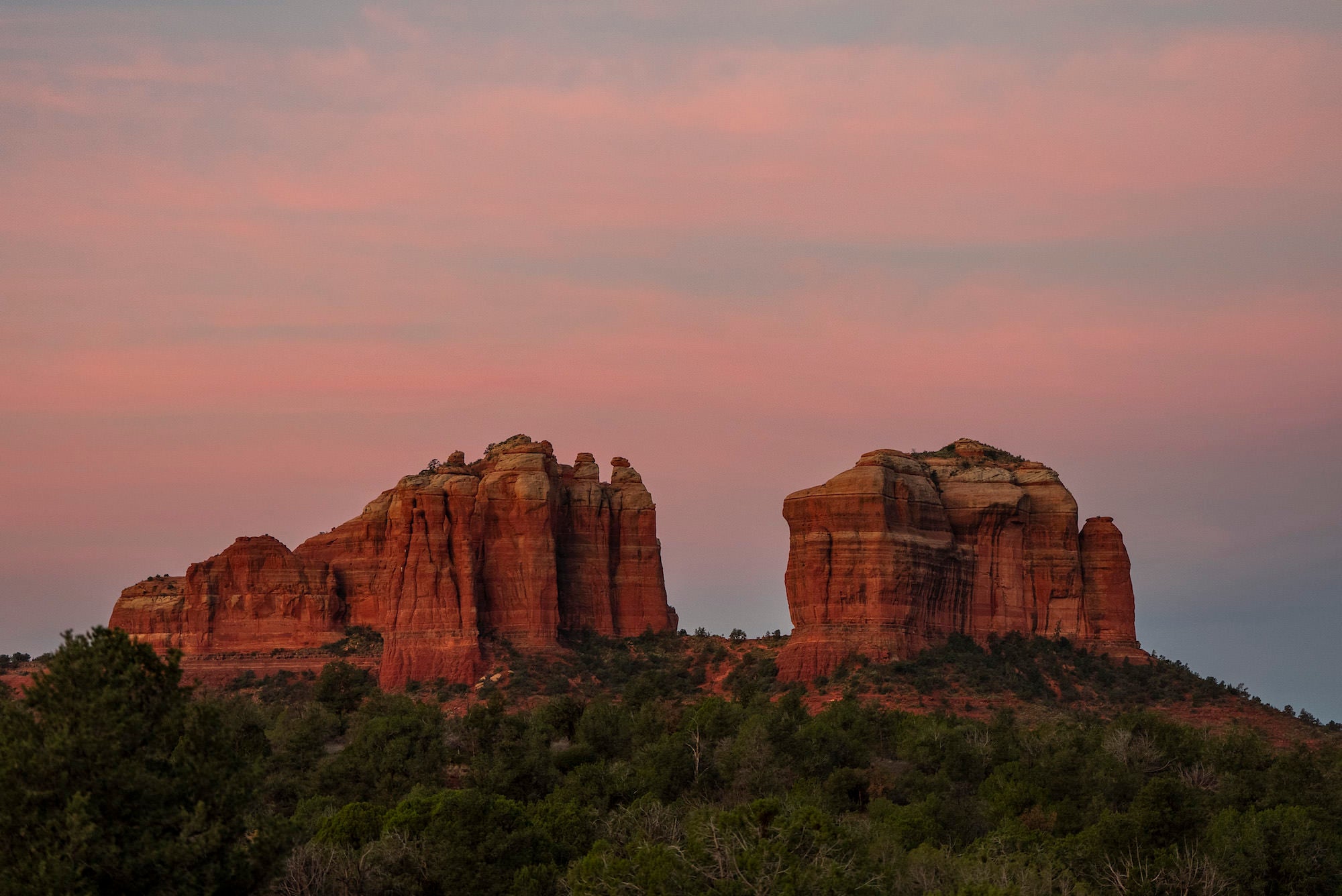 Cathedral Rock at sunset with pink and blue sky above a band of pine and juniper in the foreground.