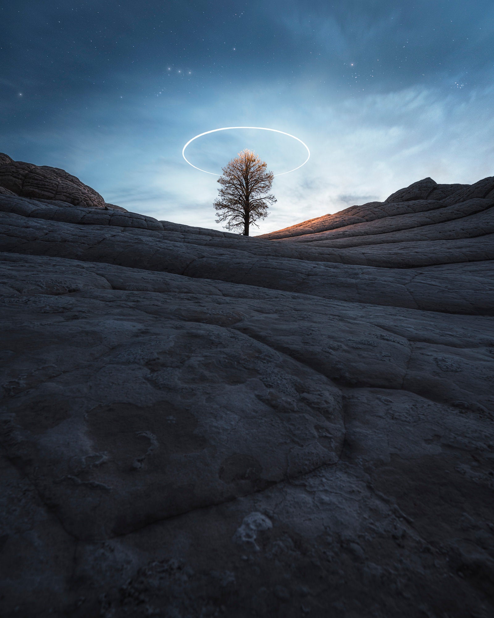 Long‑exposure night scene at White Pocket, Arizona: a lone tree centered between brainlike sandstone, haloed by a drone light circle beneath a starry sky. Long‑exposure night scene at White Pocket, Arizona: a lone tree centered between brainlike sandstone, haloed by a drone light circle beneath a starry sky.