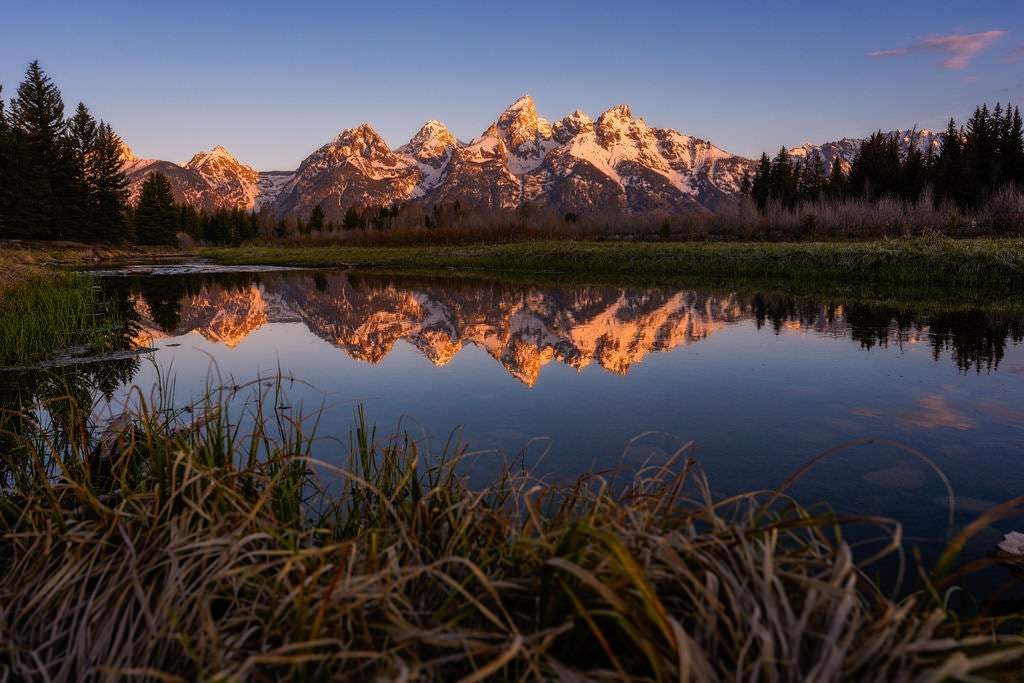 A mirror-like reflection of the snow-dusted Grand Teton mountain range glows gold in the still water of a calm river at sunrise, framed by dark evergreen trees and lush riverside grass in the foreground.