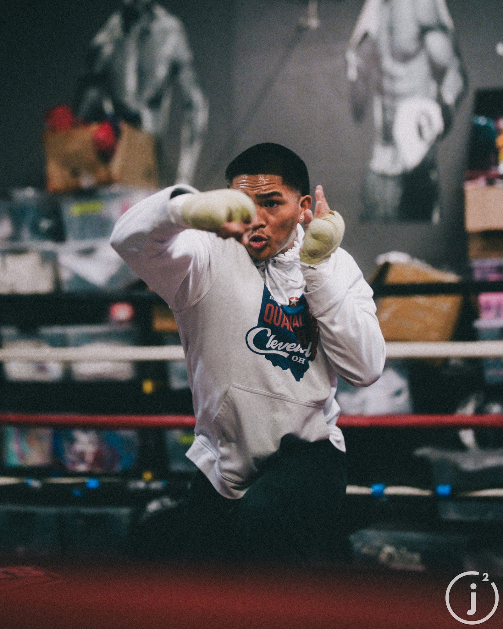 Boxer training in the ring