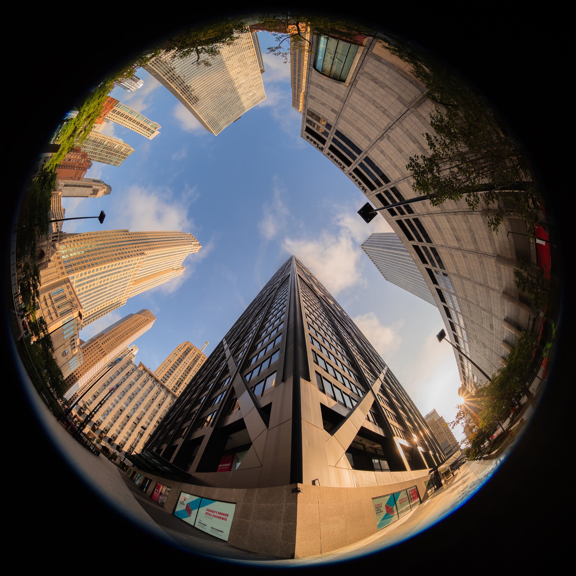 Fisheye view looking up at modern high-rises surrounding a blue sky, with sunlight filtering through trees. Photo by Mike Meyers. Alpha 7R V. 8-14mm f/3.5 Fisheye G. 1/320-sec. f/6.3. ISO 100.