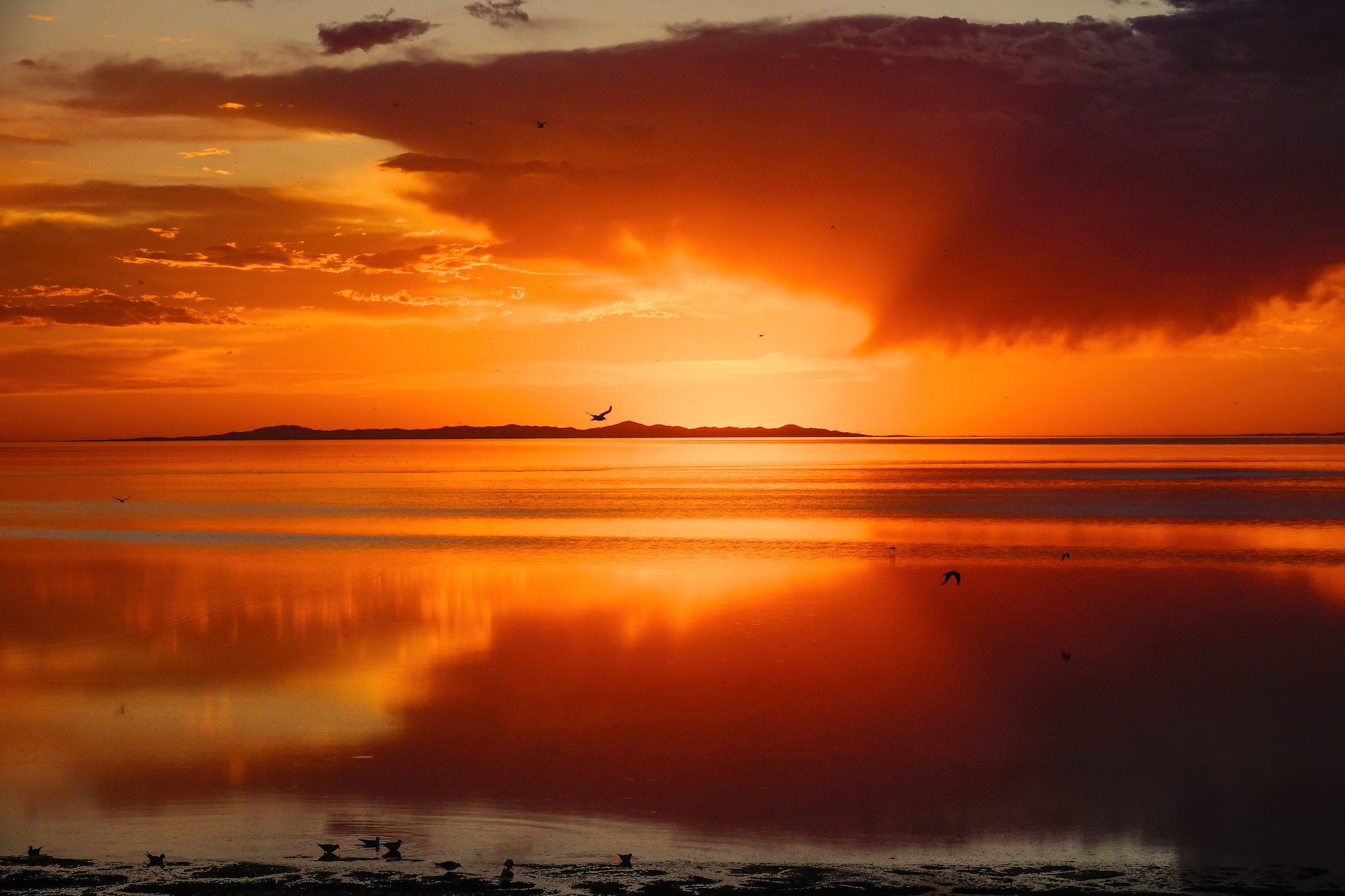 (Sunset reflection) A blazing orange and red sunset ignites the sky over a still lake, storm clouds and silhouetted birds reflected perfectly in the glassy water below &mdash; a jaw-dropping landscape captured with the Sony RX10 V.