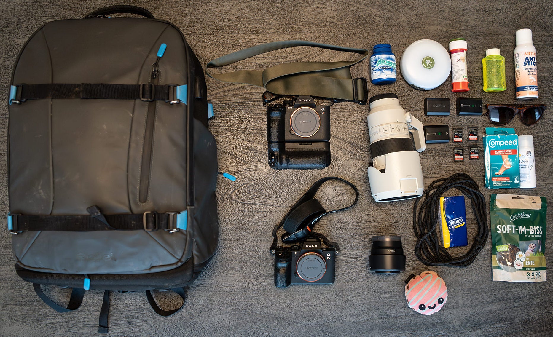 Conny Diegner's dog photography kit