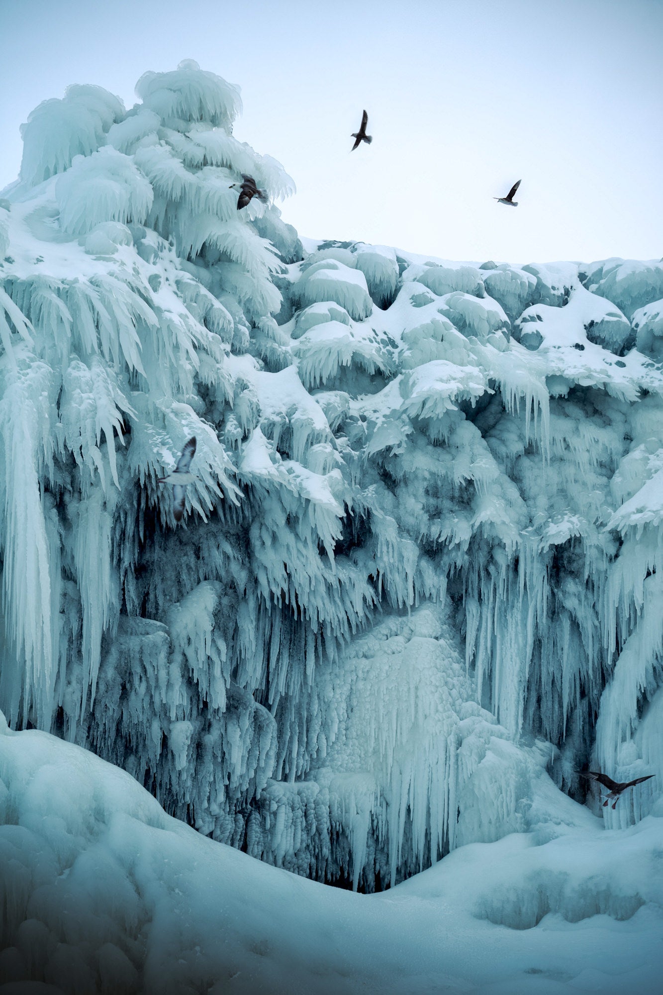 A towering frozen cliffside draped in thick icicles and snow formations looms above, while seabirds wheel through the pale Arctic sky. Photographed by Eyr&uacute;n Lyd&iacute;a S&aelig;varsd&oacute;ttir with the Sony FE 24-70mm f/2.8 G Master II.