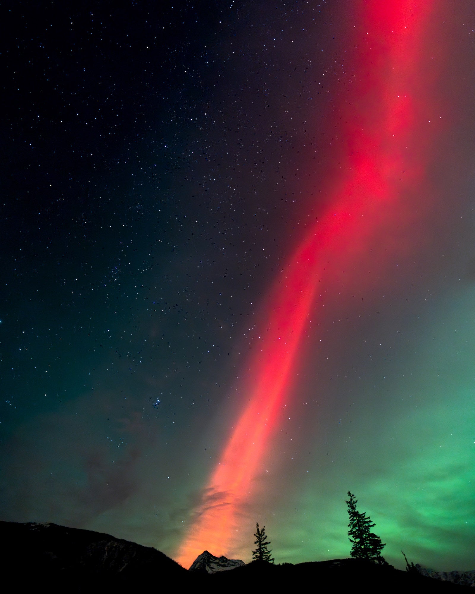 Red and green aurora streams across a star-filled night sky above dark mountain peaks and pine silhouettes. Photo by Jay Baumann. Alpha 7 IV. 2.5-sec. f/2.8. ISO 3200.