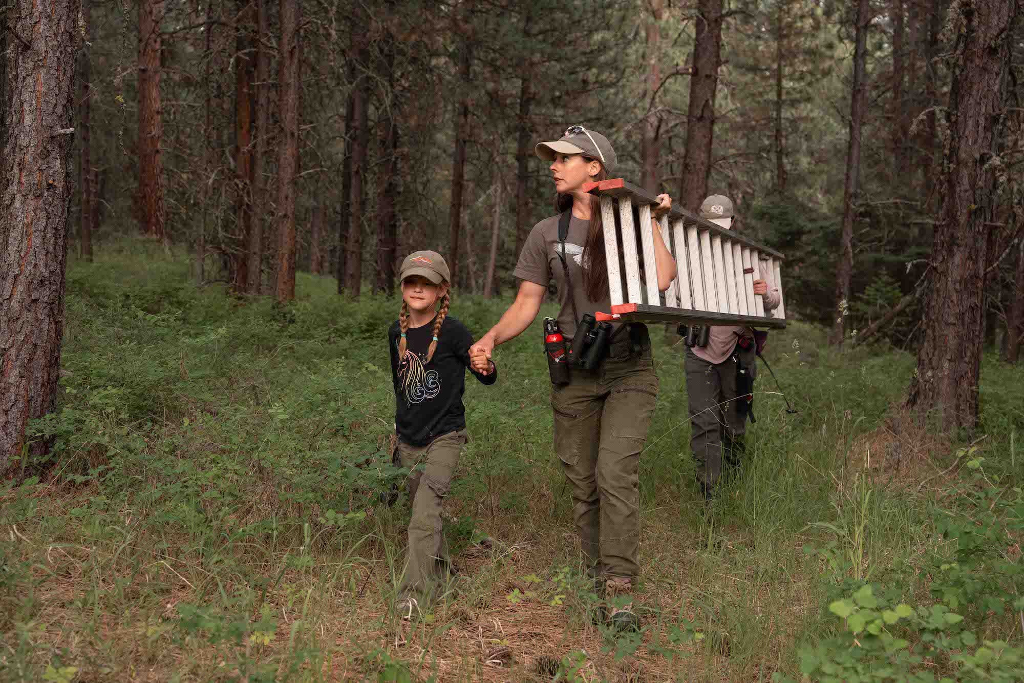Field team walking through pine woods; adult carries a ladder and holds a child&rsquo;s hand.