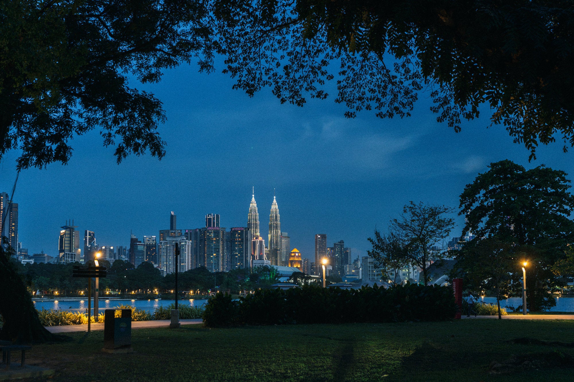 A city skyline with twin illuminated towers rises beyond a dark park and waterside path, framed by dense tree branches against a deep blue evening sky. Photograph by Ming Han.