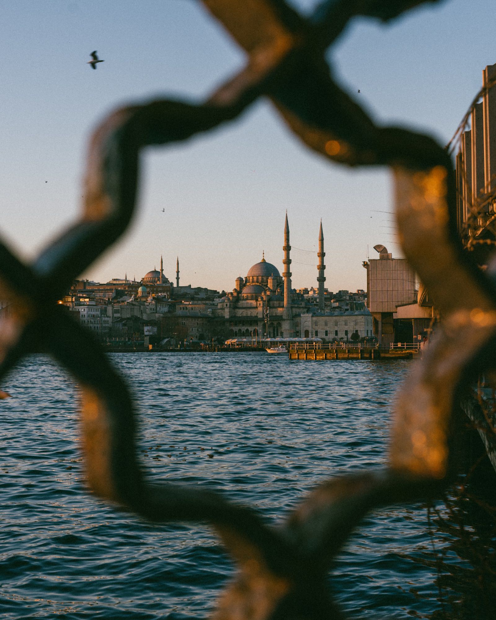 A waterfront skyline at golden hour, framed by an out-of-focus metal chain, with domed buildings and slender towers across rippling water as a bird flies through the pale sky. Photograph by Ming Han.