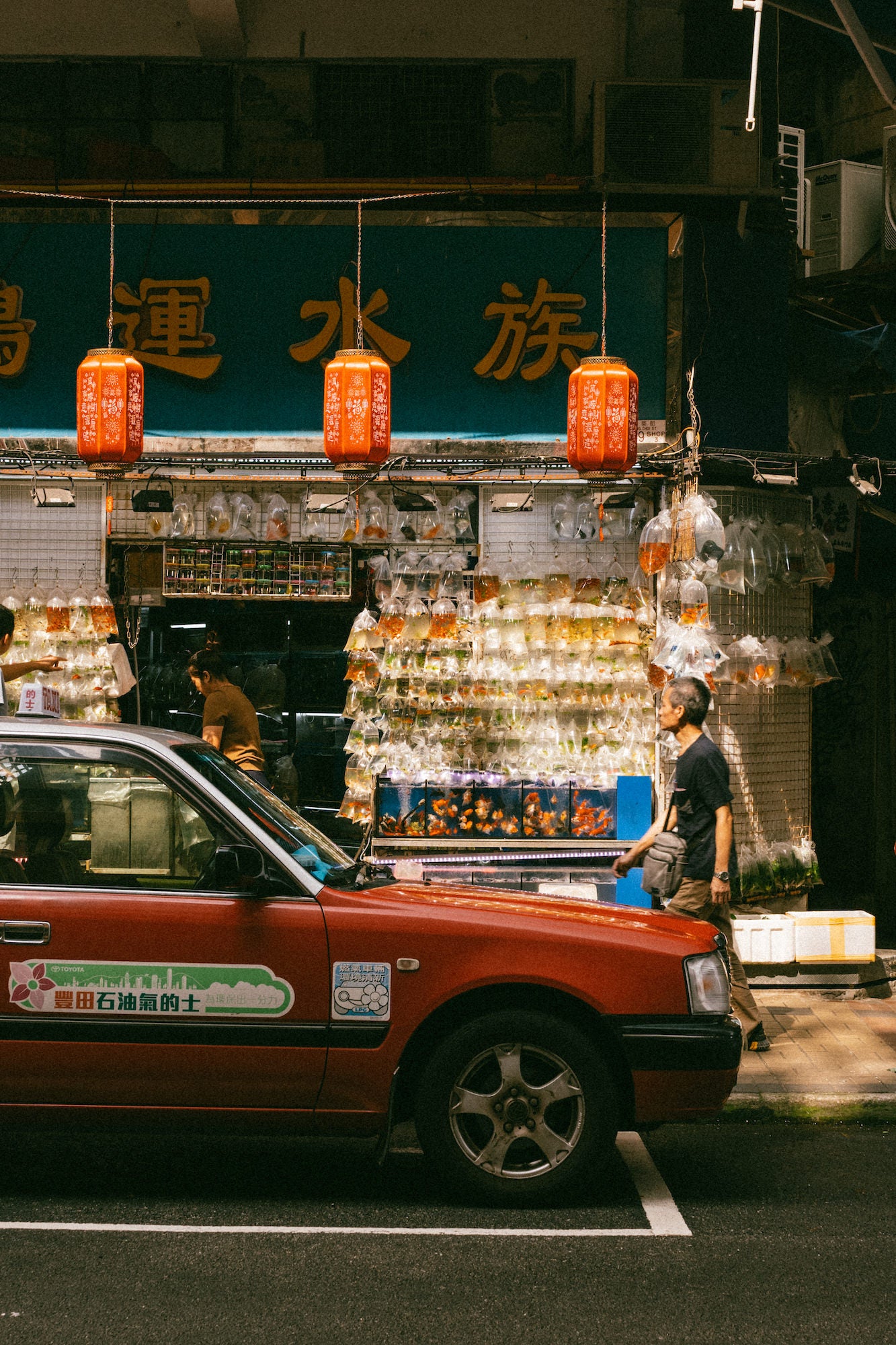 A red taxi passes an aquarium storefront filled with rows of clear bags holding small fish, beneath three glowing red lanterns and a dark teal sign with gold lettering. A man walks beside stacked white boxes. Photograph by Ming Han.