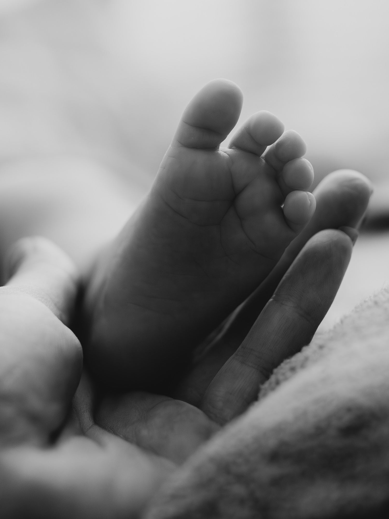 Black‑and‑white close‑up of a tiny baby foot cradled in a hand.