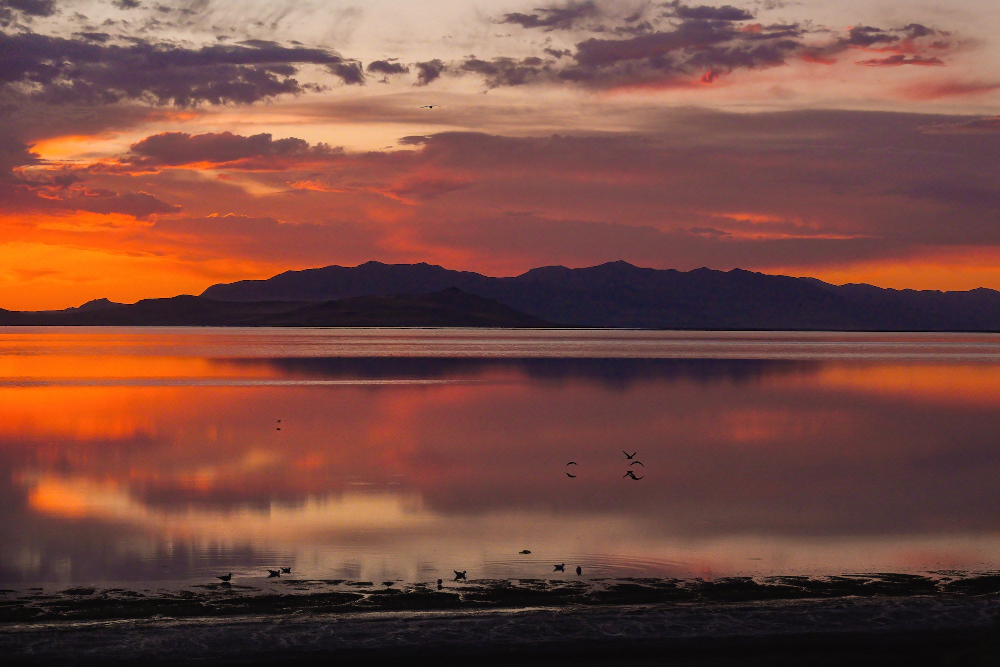 Mountain ridgelines silhouette against a vivid pink-and-orange sunset sky reflected in glassy water, as shorebirds wade in the still foreground. Nate Luebbe, Sony RX10 V.
